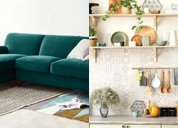 Đừng chỉ nhìn vẻ ngoài, 5 món nội thất có thể khiến bạn hối hận khi dọn nhà