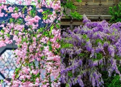 Giờ sinh Âm lịch của người dễ được lòng đồng nghiệp, sự nghiệp rộng mở
