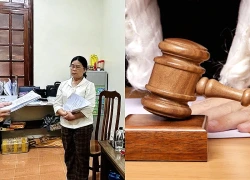 Một nguyên nữ chủ tịch hội đồng quản trị hợp tác xã bị khởi tố