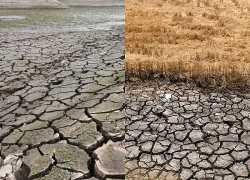 Nguy cơ mất mùa khi El Nino xô đổ hàng loạt kỷ lục nhiệt độ