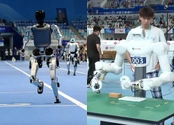 Robot hình người tranh tài với những thử thách mô phỏng đời thực