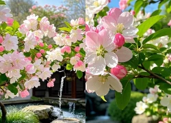 Số cuối ngày sinh Âm lịch của người sở hữu trí tuệ và ý chí đáng nể