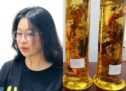Tìm bị hại của chủ kênh TikTok "Hằng Lê Sâm Ngọc Linh"