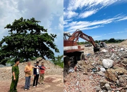Tổng giám đốc công ty bê tông bị khởi tố vì gây ô nhiễm