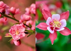 Từ nay đến ngày 15 tháng 8 âm lịch, 3 con giáp được Thần Tài cưng chiều, cầu được ước thấy, hô vàng gọi bạc, ngồi mát hưởng Phước