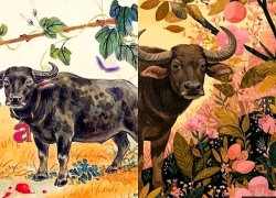 Tử vi hôm nay, xem tử vi 12 con giáp hôm nay ngày 24/9/2026: Tuổi Mão tiền bạc biến động