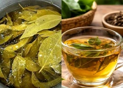 Uống nước lá vối mỗi ngày có giúp giảm cân?