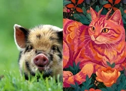 Lời khuyên tiền bạc từ cuối tháng 8 sang đầu tháng 9 âm: 3 con giáp có cơ hội tăng thu, 1 con giáp nên giữ nhịp an toàn