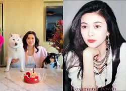 Nữ diễn viên bị đánh ghen, tạt cà phê trên phim trường nay sống sung sướng trong căn hộ trăm tỷ, nhan sắc càng nhìn càng thấy khó tin