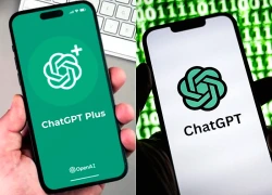 OpenAI thừa nhận mô hình AI tự ý truy cập website chính phủ Mỹ