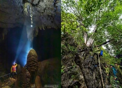 Phong Nha mạch sống của rừng già