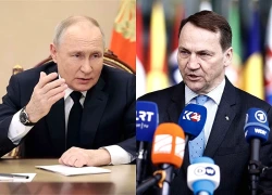 Tổng thống Putin nói về những tuyên bố 'hoàn toàn vô lý', nhưng 'có chủ ý' từ châu Âu