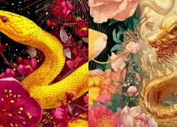 Tử vi 12 con giáp ngày 25/9: Mão, Thìn đón vận may, sự nghiệp bứt phá
