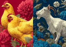 Tử vi 14 ngày tới TINH TÚ RỢP TRỜI, 3 con giáp may mắn vô cùng, ăn nên làm ra, tài lộc thăng hoa, như ý cát tường