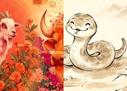Tử vi hôm nay, xem tử vi 12 con giáp hôm nay ngày 27/9/2026: Tuổi Tuất chi tiêu hạn chế