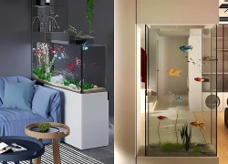 Vị trí đặt và những điều cần lưu ý khi đặt bể cá trong nhà để hút tài lộc